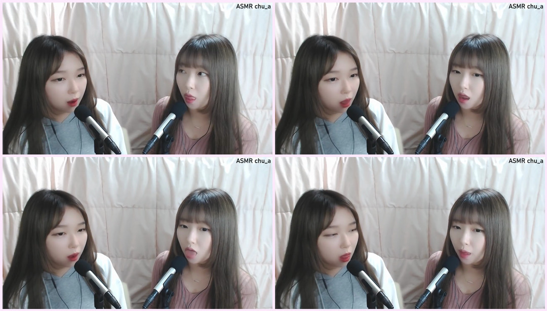 ASMR 双胞胎的我长我荣一小时 |刺痛炸弹 | TWIN ASMR 双胞胎Asmr ASMR视频