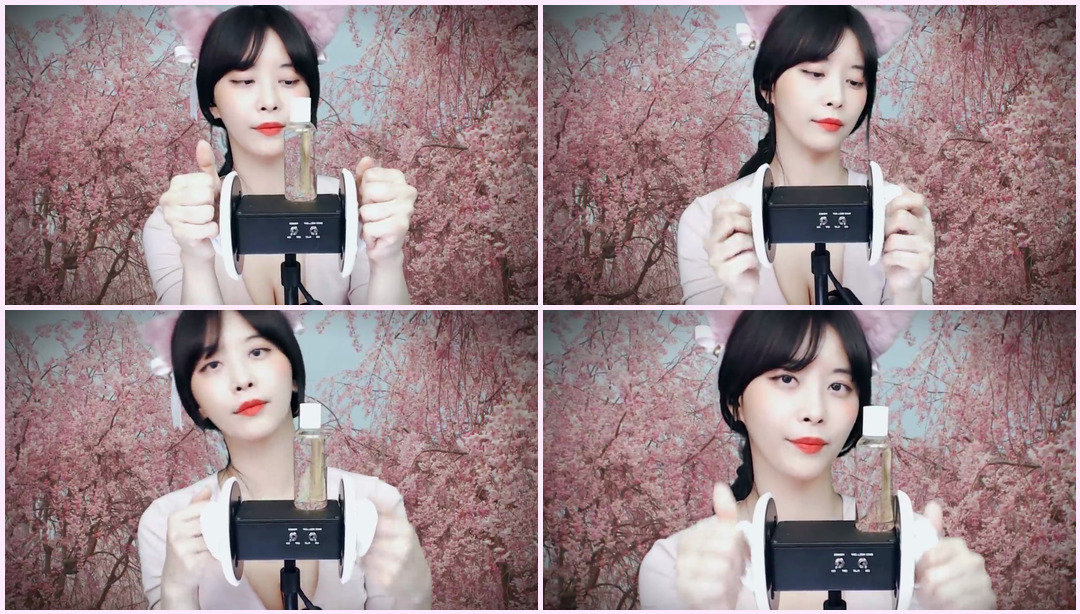 ASMR l 樱花精油按摩 猫耳娘Asmr ASMR视频