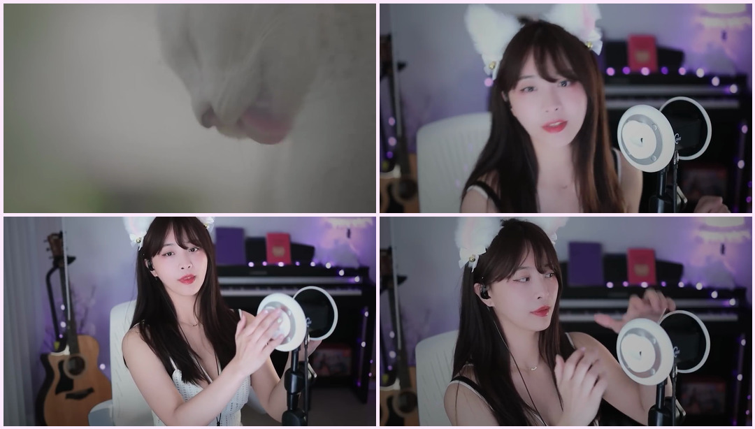 ASMR l 'MIMO CAT' Grooming (Once a cat. l 猫Grooming) 猫耳娘Asmr ASMR视频